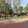 컵스(Cubs) 어학원_3