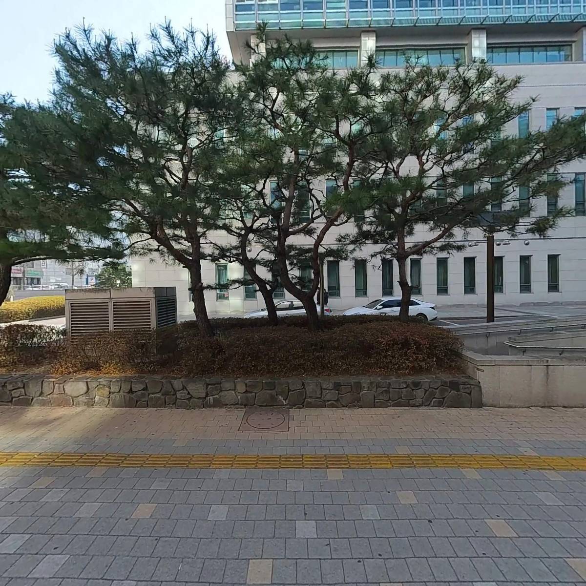 코코리아_3