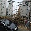승진투어로_3