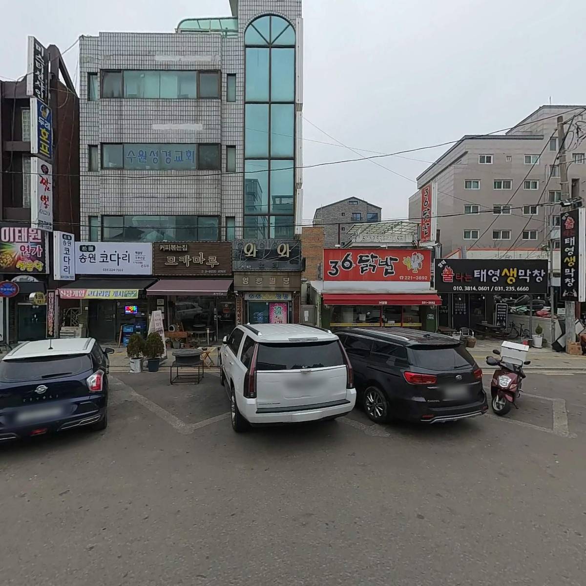 송원코다리