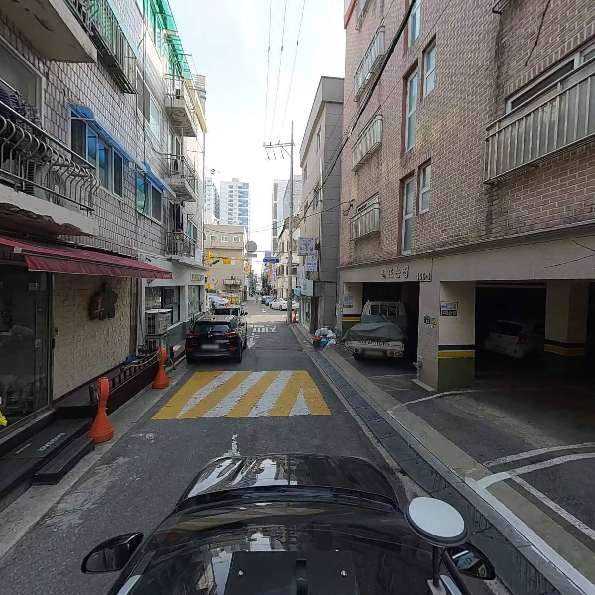 꽃부리, 영_4