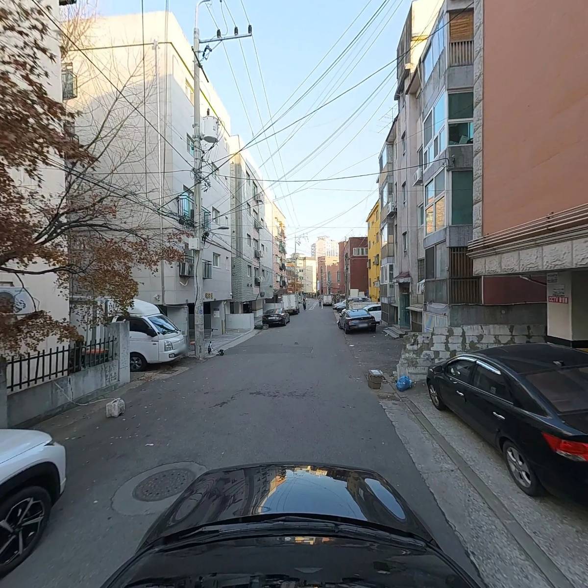 크레도_4