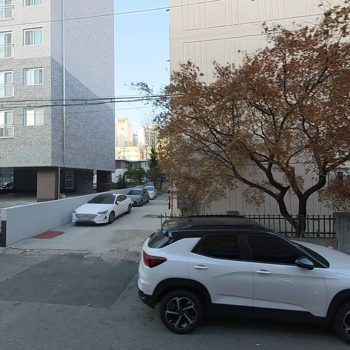 크레도_3