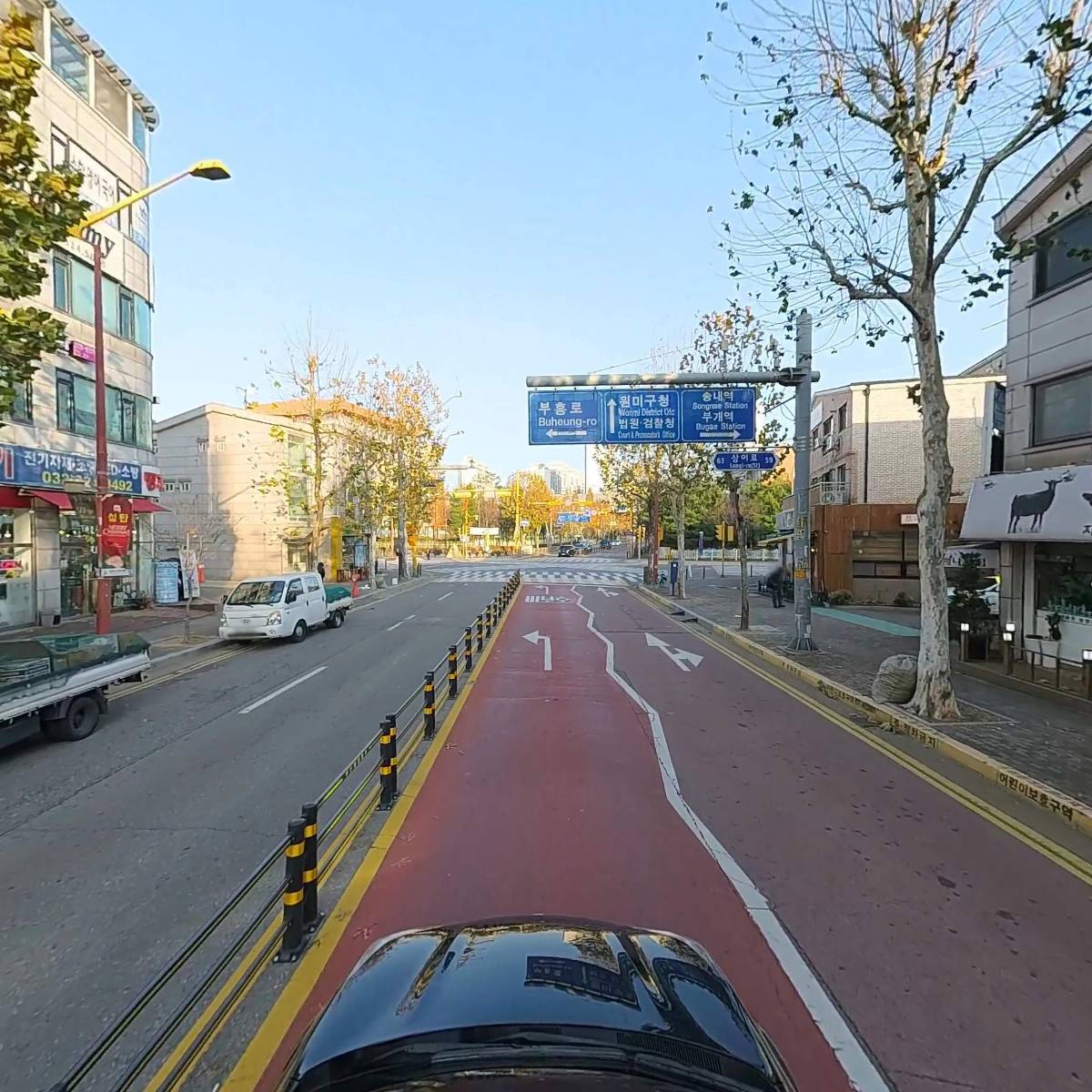 은행나무흑염소_4