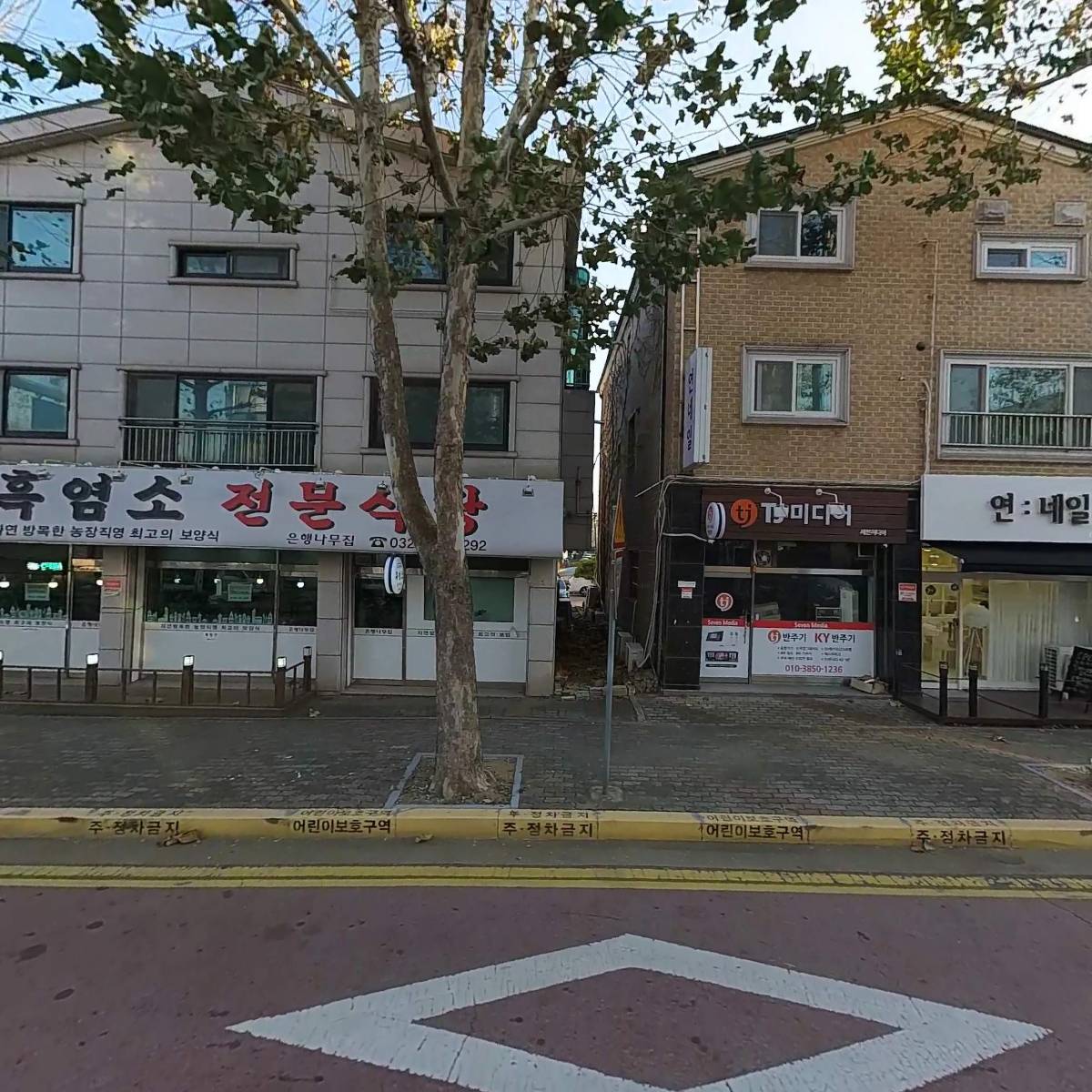 은행나무흑염소