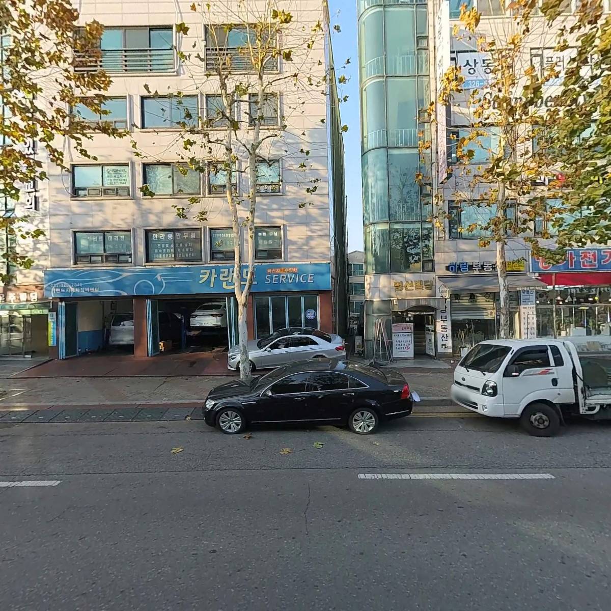 은행나무흑염소_3