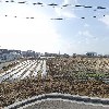 호떡명가_3