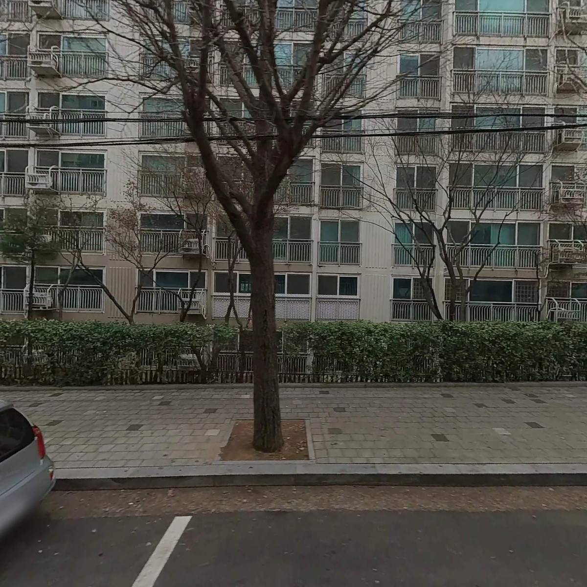 가지마켓