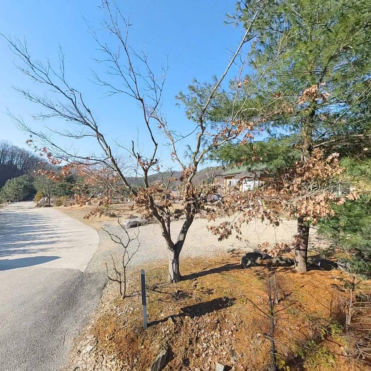 백학중기_3