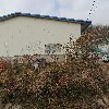 보생유통