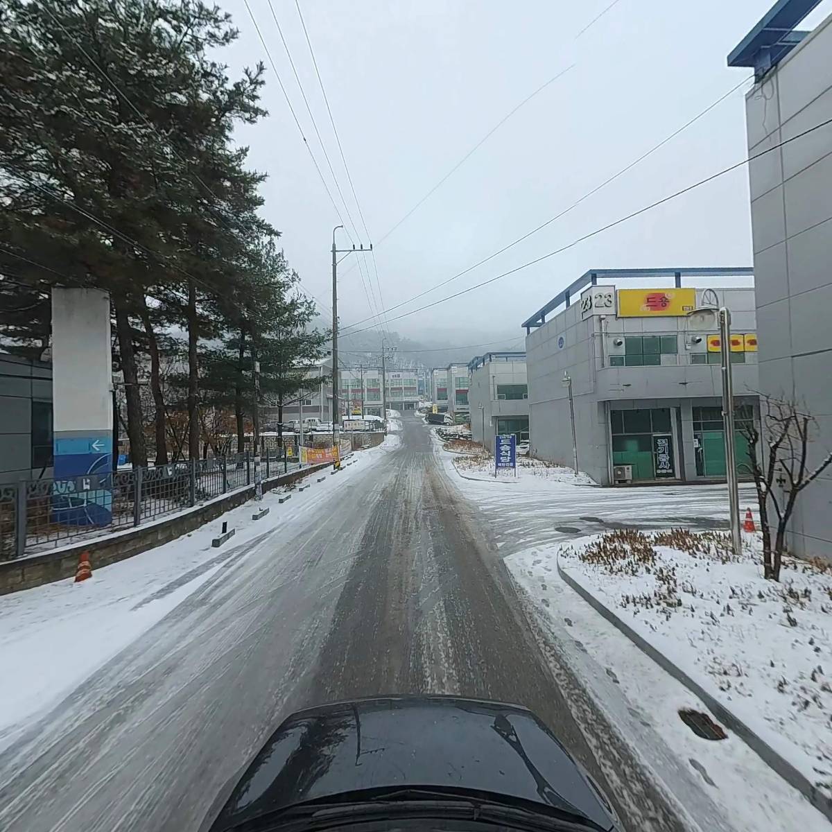 주식회사 시카모어_4
