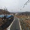 평산신씨제정공파칠장종중_2