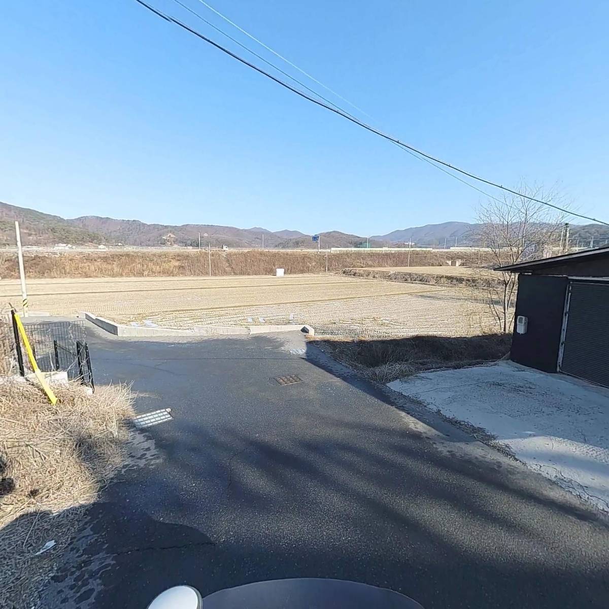 첼리_2